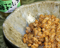 柚子胡椒 納豆 レシピ